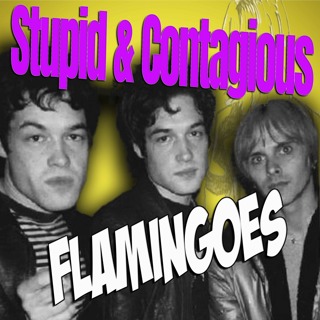 #147 / 90s Guitar Bands - Flamingoes