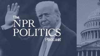 Weekly Roundup: Tariffs, Texts & Turtles