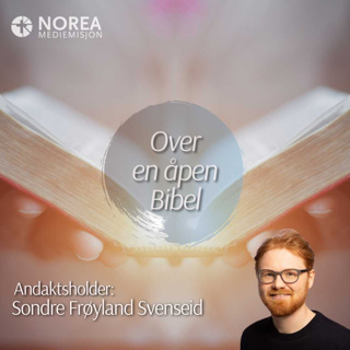 E2606 -1-Sondre Frøyland Svenseid - Gud åpenbarer seg for Esekiel