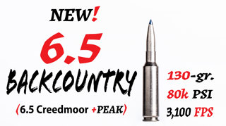 NEW 6.5 BACKCOUNTRY! (6.5 Creedmoor +PEAK)