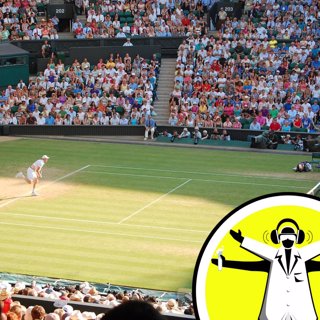 The Science in Sport