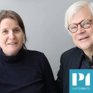 Har Socialdemokraternas partiledning redan bestämt sig för att gå med i Nato?