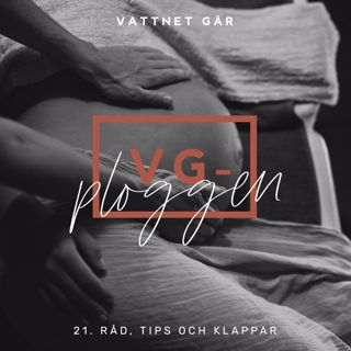 121. VG-ploggen, "Hand's off min gravidmage!"