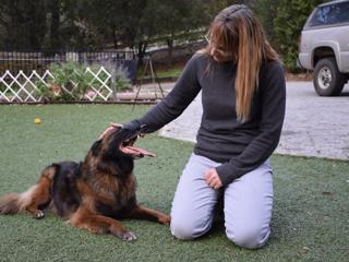 233: Changing Your Agility Dog's Unwanted Behavior