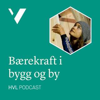 Nye måter å bygge, gamle måter å bo!