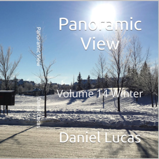 Panoramic View Volume 14 Winter by Daniel Lucas