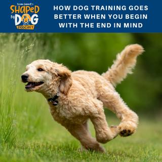 How Dog Training Goes Better When You Begin With The End In Mind #126