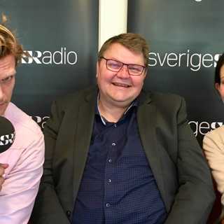 250: Peter Lundgren (SD): Jag har haft elbil i två år