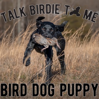 17 | Bringing Home a Birddog: Your First Bird Dog Puppy