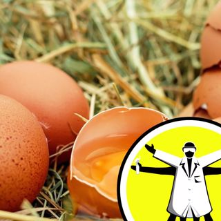 Eggs, eyes and quantum - November QnA