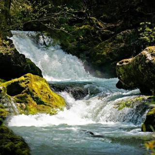 😴💧🎵 Find REST with the Soft Sound of a WATERFALL and Soothing MUSIC