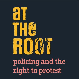 This is What Democracy Looks Like - At the Root (Episode 4)