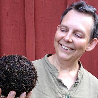 Naturpanelen svarar: Barrbollar och levande gummisnoddar