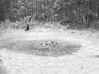 Ep. 159 - Devil's Tramping Grounds