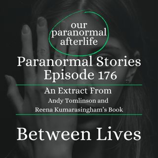 Exploring Reincarnation: The Between Lives Experience and Insights into Life After Death