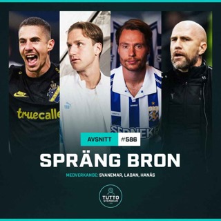 #586 Spräng bron