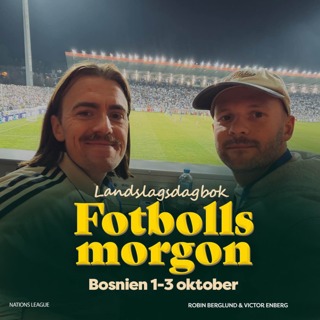 Landslagsdagboken: Bosnien borta i Nations League (Edin Dzekos sista landskamp)