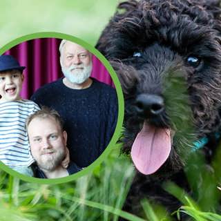 Apelgrens husdjur: Hund