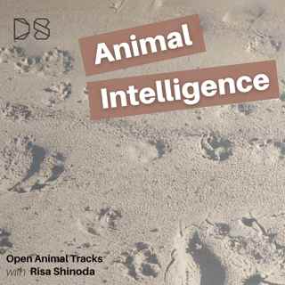 Open Animal Tracks