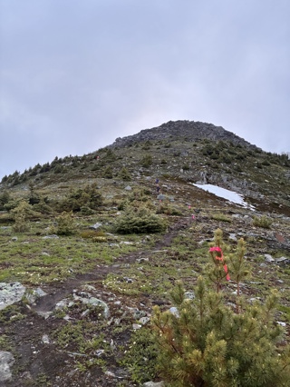What's Next? Life Updates & the Future of Trail Running Women