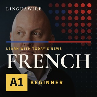 A1 French News | Can AI School Replace College?