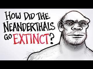 How Did The Neanderthals Go Extinct? | After Skool