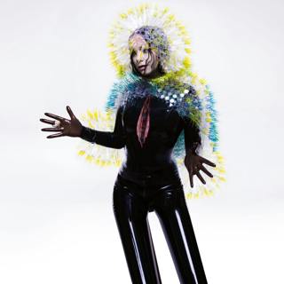 8. VULNICURA