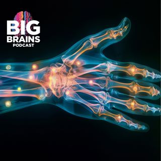 Recreating A Sense of Touch, Using Our Minds, with Nicholas Hatsopoulos