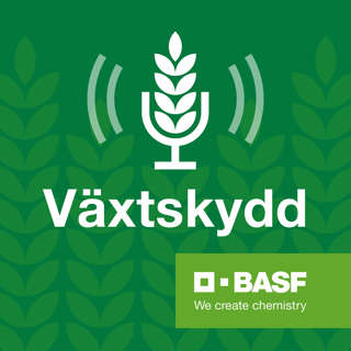 Växtskyddspodden E60 – Hur kan flexibilitet och bredd säkras i en herbicid? Hur kan en aktiv substans potential förstärkas så att fler grödor och ett bredare spektrum täcks? I denna podd undersöker vi hur just den aktiva substansen imazamox är ett exemp
