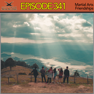 Episode 341 - Martial Arts Friendships