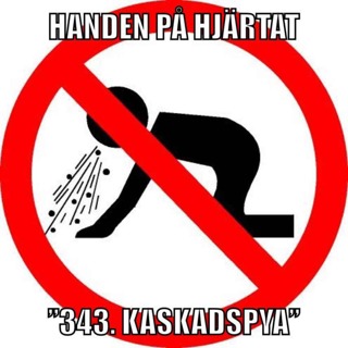 ”343. KASKADSPYA”
