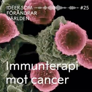 Immunterapi mot cancer – med Kristian Pietras