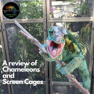 A Review of Chameleons and Screen Cages