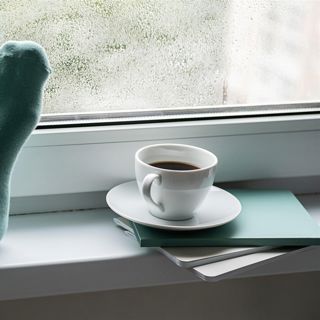 Comforting Indoor Rain ASMR - 10 Hours Sleep Sound
