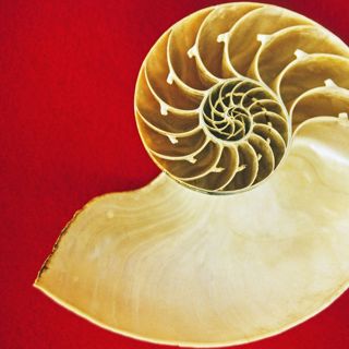 Emulating the Ocean's Sound
