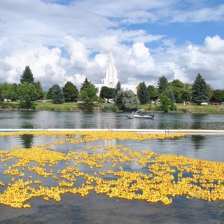 The 35th Annual Great Snake River Greenbelt Duck Race returns Saturday