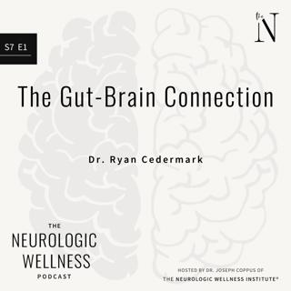 The Gut-Brain Connection