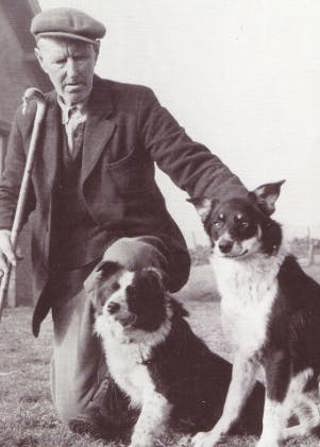Willie Scott, the Border Shepherd