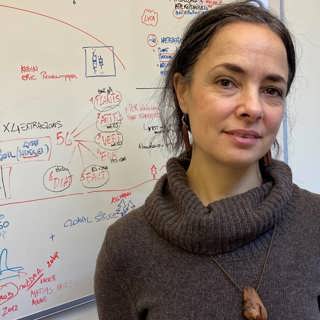 Laura forskar om världens äldsta träd och gamla romerska statyer