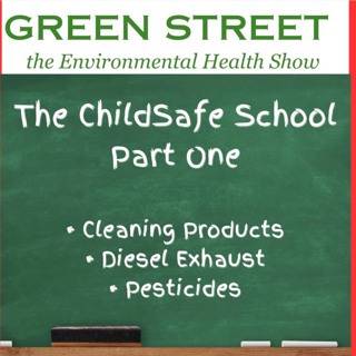 The ChildSafe School - Part One