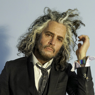 Episode 256 - Wayne Coyne