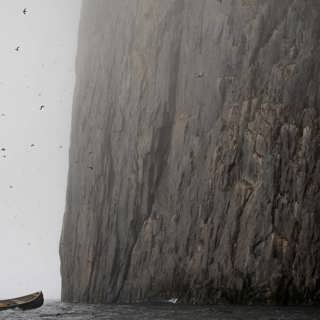 400 000 fågelpar samlas på en ö – nu undersöks ekosystemet under ytan