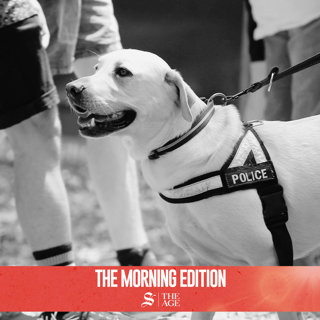 Why the era of sniffer dogs at music festivals could be over