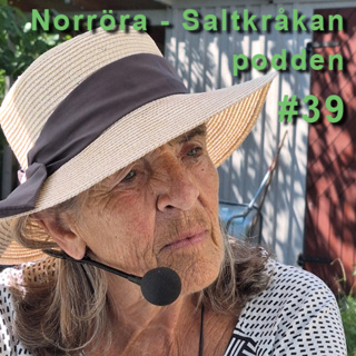 39. Rödlöga – ön och byn i ytterskärgården