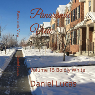 Panoramic View Volume 15 Boldly White by Daniel Lucas