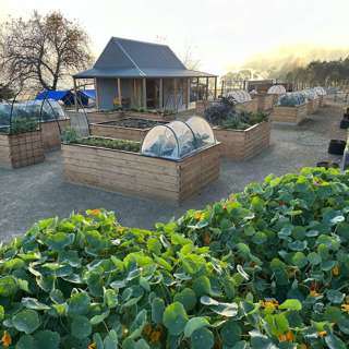 Ep 3: The Farm Mudgegonga _ Establishing the Social Farm