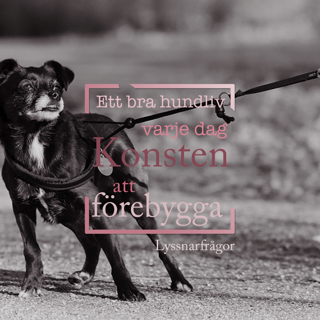 Ett bra hundliv varje dag - Konsten att förebygga [Lyssnarfrågor]