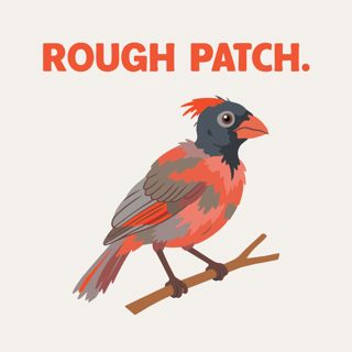 Okay, but why does that bird look so rough?
