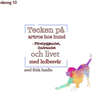 Tecken på artros hos hund - Förebyggandet, lindrandet och livet med ledbesvär