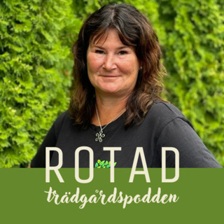 Konsten att driva en trädgårdsbutik